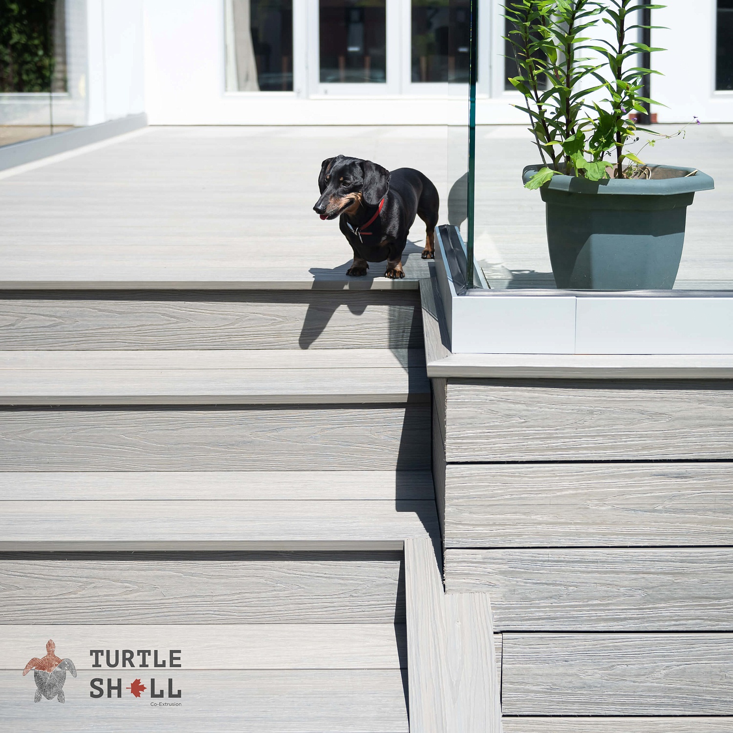 Оформление входной группы и ступеней террасной доской ДПК Turtle Shell