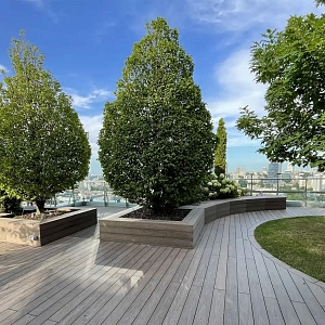 Террасная доска ДПК Bamberg Brazilian Walnut